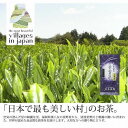 【ふるさと納税】奥八女星野村 深蒸し高級煎茶(深蒸し茶) 100g×1袋<八女茶>