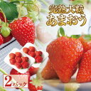 【ふるさと納税】福岡県大川市産 完熟大粒あまおう 2パックセット【出荷期間は12月中旬～4月下旬】 | 食べ物 取り寄せ お取り寄せ グルメ ご当地 フルーツ 果物 くだもの