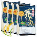 【ふるさと納税】【令和7年産】福岡県産ブランド米「元気つくし」白米 20kg | 元気つくし 米 お米 おこめ 白米 ふっくら おいしい 美味しいお米 20キロ 食品 人気 おすすめ 福岡県 大川市 ブランド米 ふるさと納税