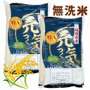 人気ランキング第15位「福岡県大川市」口コミ数「0件」評価「0」【令和5年産】福岡県産ブランド米「元気つくし」無洗米 10kg | 元気つくし 無洗米 新米 白米 洗わない 節水 時短 ツヤ 甘み 旨み 10キロ お米 こめ 食品 人気 おすすめ 福岡県 大川市 ブランド米 送料無料