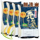 人気ランキング第9位「福岡県大川市」口コミ数「0件」評価「0」【令和5年産】福岡県産ブランド米「元気つくし」無洗米 20kg | 元気つくし 無洗米 新米 白米 洗わない 節水 時短 ツヤ 甘み 旨み 20キロ お米 こめ 食品 人気 おすすめ 福岡県 大川市 ブランド米 送料無料