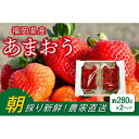 【ふるさと納税】福岡県産あまおう 約280g×2パック 朝採りイチゴ 農家直送でお届け