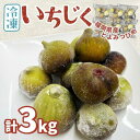 【ふるさと納税】福岡県産「博多とよみつひめ」冷凍いちじく！合計3kg