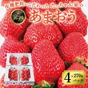 【ふるさと納税】【福岡県大川市】有機肥料にこだわったたっちゃん家の完熟あまおう（270g×4パック）