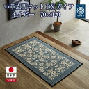 い草玄関マット DXガイア ネイビー 70×120 | い草 ラグ おしゃれ 国産 気持ちいい 和モダン 家具 インテリア 夏 消臭 抗菌 高級 畳 天然素材 サイズ 小さめ 通年 年中 日本製 モダン い草ラグ い草カーペット い草マット 玄関マット 室内 滑り止め付き 和風