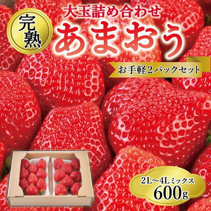 【出荷期間は1月～4月末】ご家族での味見にもOK！お手軽2パックセット！大玉詰め合わせ 600g | 福岡県 大川市 福岡県大川市 ふるさと 納税 食べ物 取り寄せ お取り寄せ グルメ ご当地 あまおう いちご イチゴ 苺