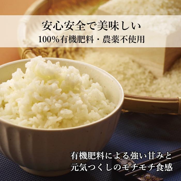 大川市 ふるさと納税 平田農園　【ふるさと納税】【令和7年度新米】先行予約受付 数量限定 白米(特別栽培農産物)元気つくし 5kg×2袋 (計10kg)