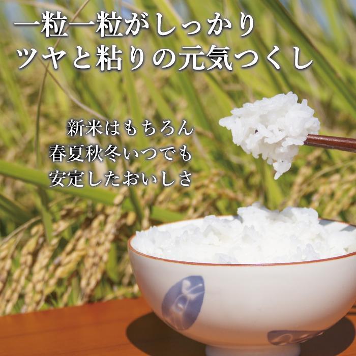 大川市 ふるさと納税 平田農園　【ふるさと納税】【令和7年度新米】先行予約受付 数量限定 白米(特別栽培農産物)元気つくし 5kg×2袋 (計10kg)