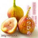 【ふるさと納税】【2025年9月下旬より順次発送】福岡県産 とよみつ姫 約1.2kg以上(約300g×4パック入り) うまうまもぐもぐ