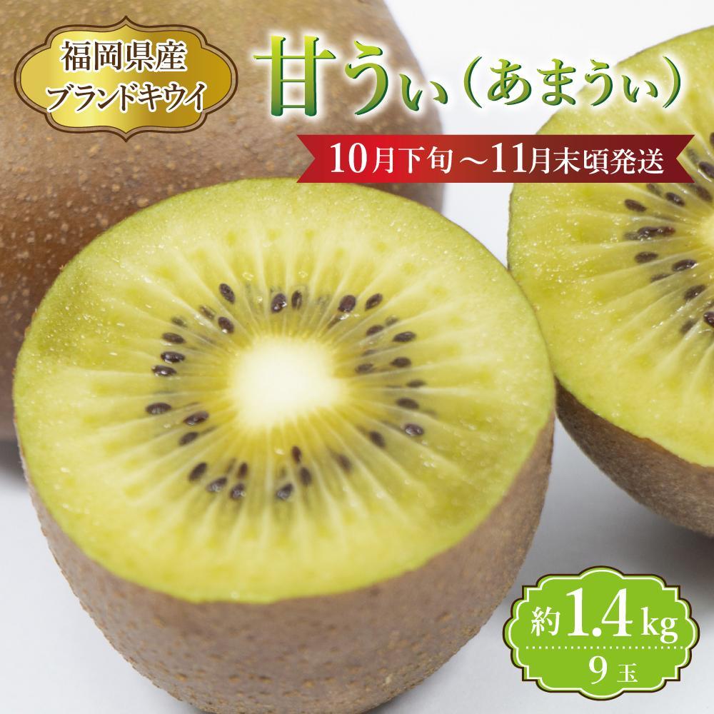 【ふるさと納税】【福岡県産】キウイ『甘うぃ』 約1.4kg