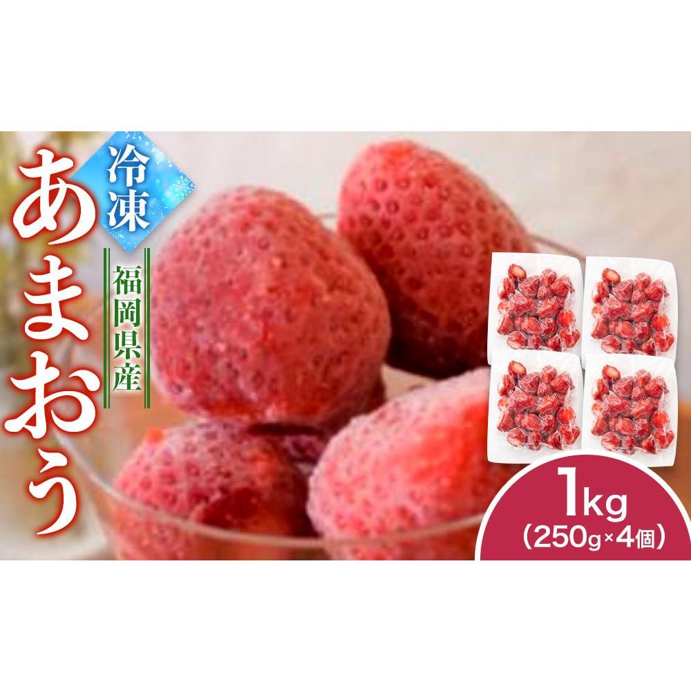 【ふるさと納税】福岡県産 冷凍あまおう1kg(250g×4個)