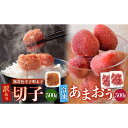 【ふるさと納税】訳あり!辛子明太子(切子)500gと福岡県産冷凍あまおう500g(250g×2個)セット