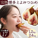 【ふるさと納税】福岡限定ブランド いちじく とよみつひめ 2025年8月上旬〜10月下旬発送 | 無花果 イチジク 肉厚 果物 フルーツ 生 旬 朝ごはん 朝食...
