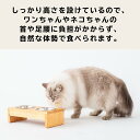 福岡県大川市の画像3