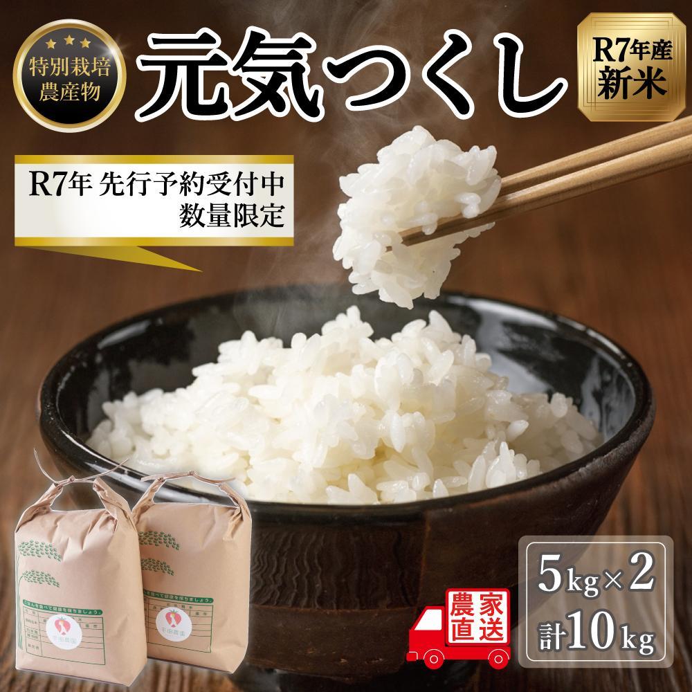 大川市 ふるさと納税 平田農園　【ふるさと納税】【令和7年度新米】先行予約受付 数量限定 白米(特別栽培農産物)元気つくし 5kg×2袋 (計10kg)