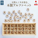 【ふるさと納税】天然ヒノキが香る 木製アルファベット【大川市】 | ひのき 檜 ヒノキ 木製 アルファベット 知育玩具 職人 手作り ハンドメイド SDGs 天...