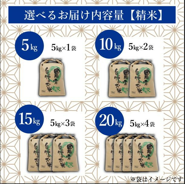 令和7年産 米 福岡県産 米 元気つくし 5kg 10kg 15kg 20kg 福岡県が誇るブランド米 大川市 ふるさと納税 辻園芸　【ふるさと納税】＼令和7年産 ／ 福岡県大川市産 ブランド 米 元気つくし ≪容量選択可能≫ 5kg 10kg 15kg 20kg | お米 米 こめ 精米 白米 5kg袋 ライス ブランド米 ごはん ご飯 ふるさと納税 大川市