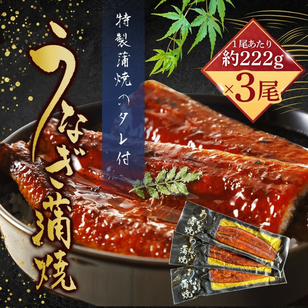 【ふるさと納税】うなぎ蒲焼(中国産鰻 222g×3尾) | 鰻 うなぎ 水産 食品