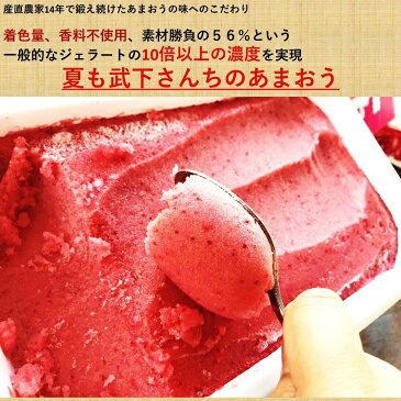 【ふるさと納税】たけしたさんちのあまおうジェラート56% 2L特大サイズ パーティー、バーベキュー向け | 福岡県 大川市 福岡 大川 福岡県大川市 ふるさと 納税 食べ物 取り寄せ お取り寄せ グルメ お取り寄せグルメ ご当地 ご当地グルメ いちご イチゴ 苺 あまおう苺