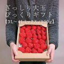 【ふるさと納税】【今期発送の受付は2025年4月27日(日)まで】★身近な人間関係のお祝いに★「完熟あまおう」3L〜4Lミックス詰め合わせ 900g入り | い...