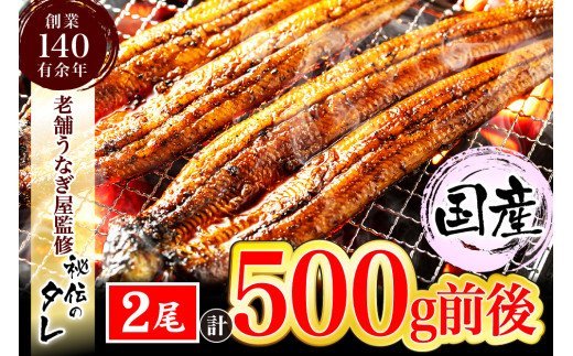 2位! 口コミ数「2件」評価「1」九州産・鰻の蒲焼2尾（計500g前後）【当店オリジナル味付け】_AU-065