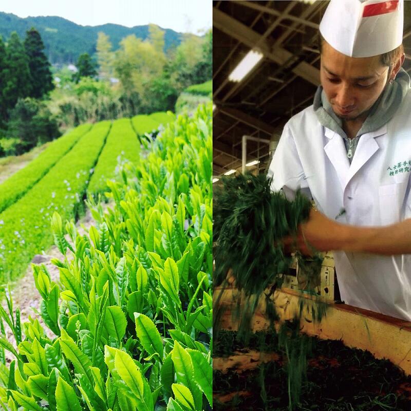 福岡県行橋市の画像2