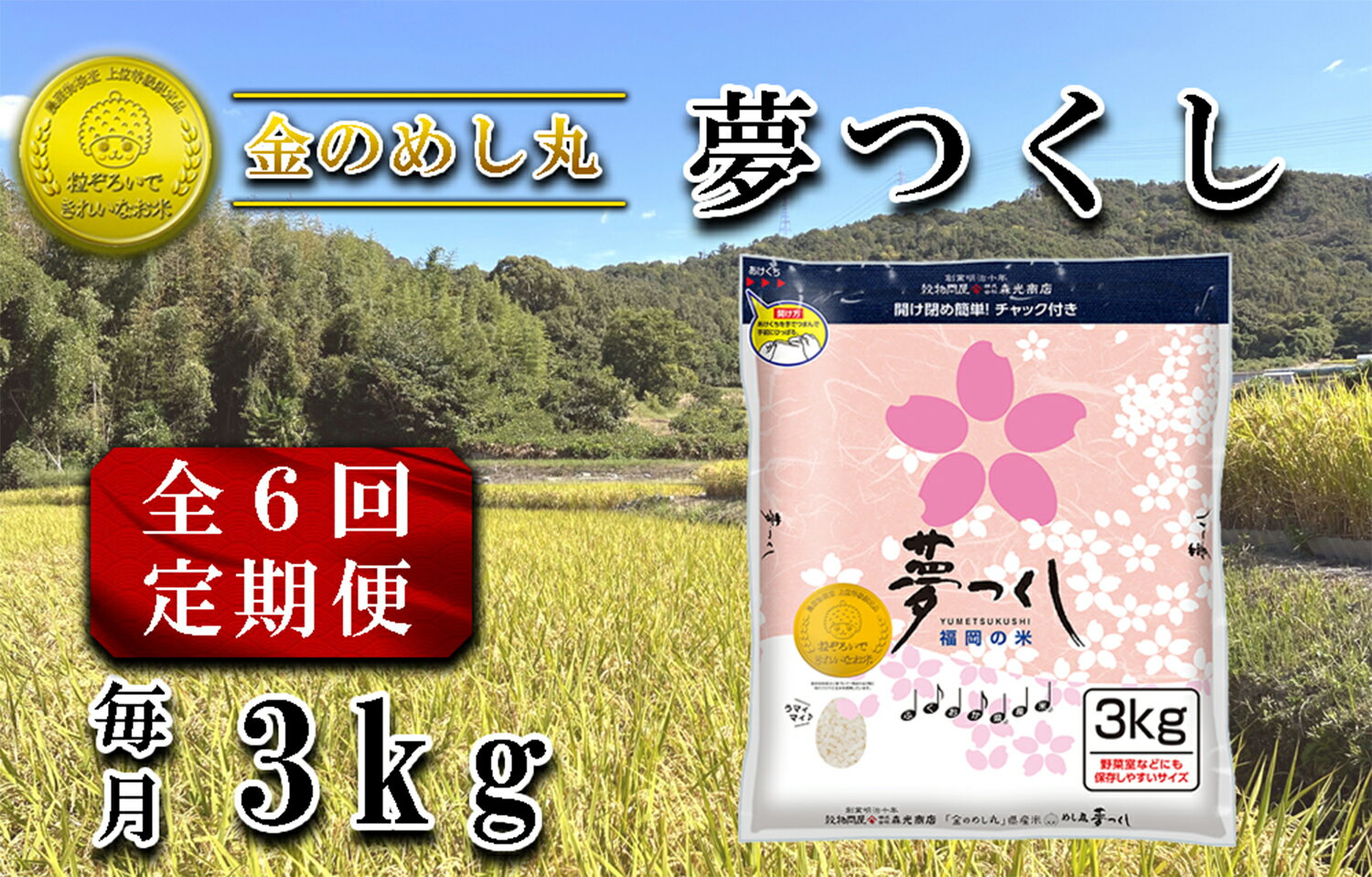 【ふるさと納税】令和7年米金のめし...