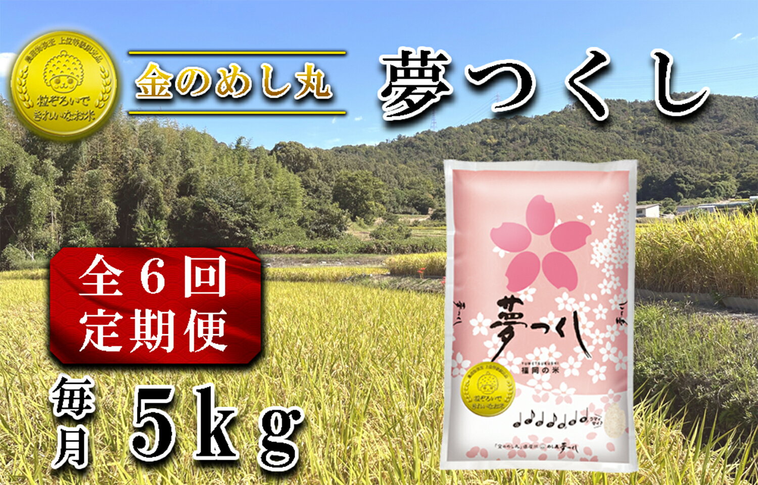 【ふるさと納税】令和7年米金のめし...