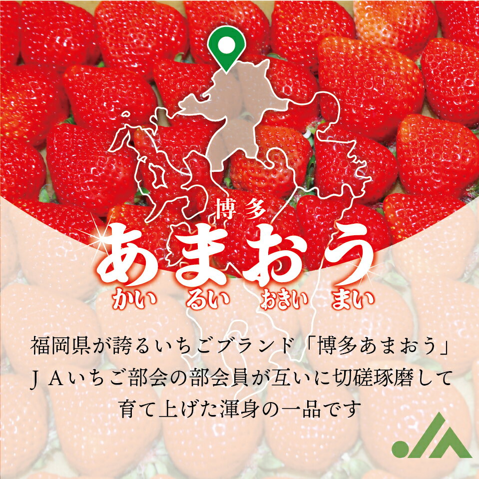 福岡県行橋市の画像2