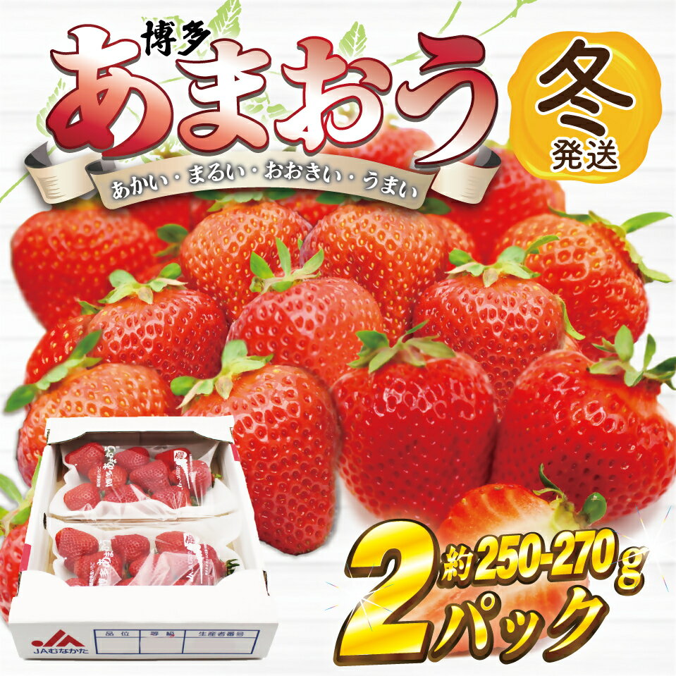 【ふるさと納税】博多あまおう2パック(冬)『1～2月発送』_AT-001
