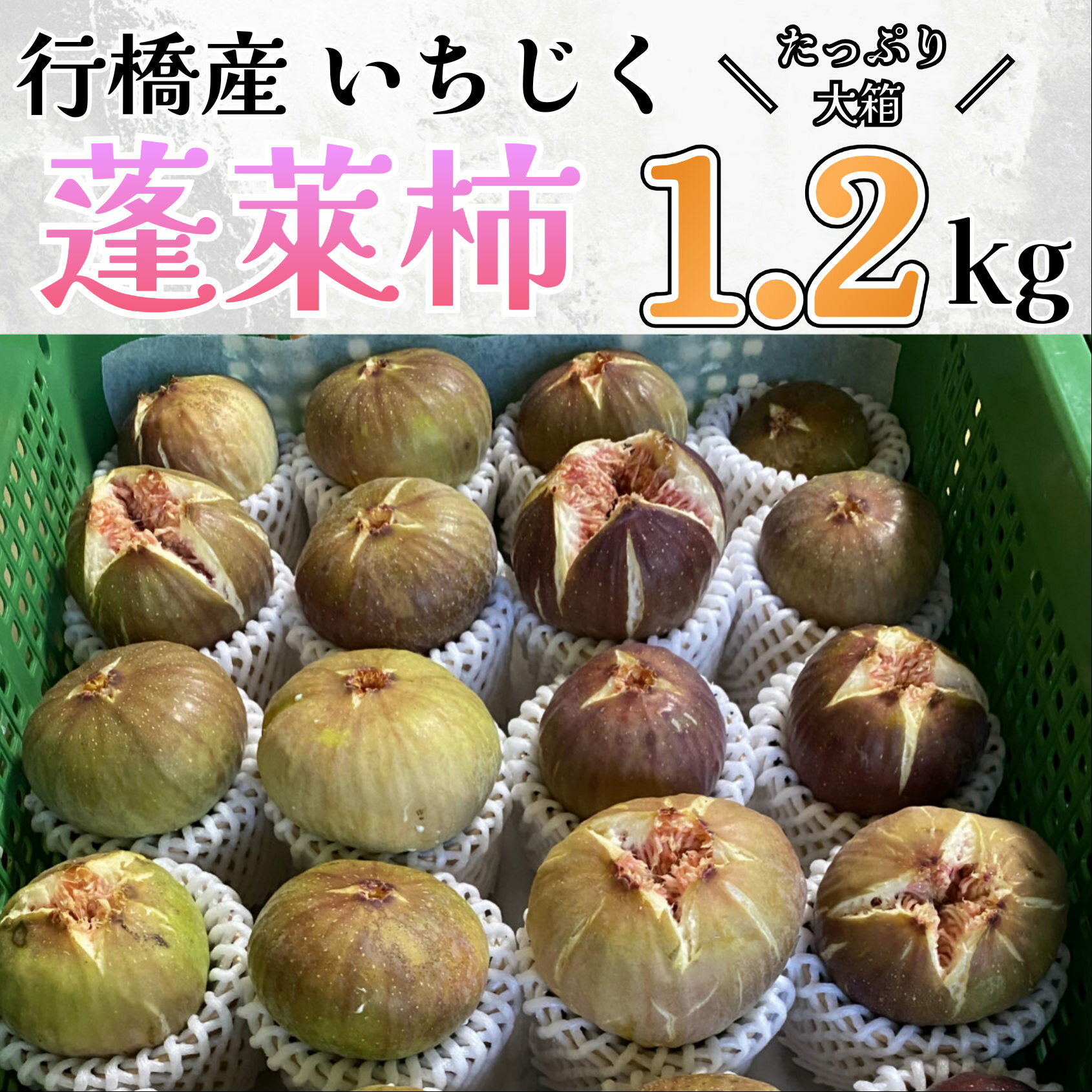 行橋産いちじく（蓬莱柿） 箱大 約 1.2kg_AO-015