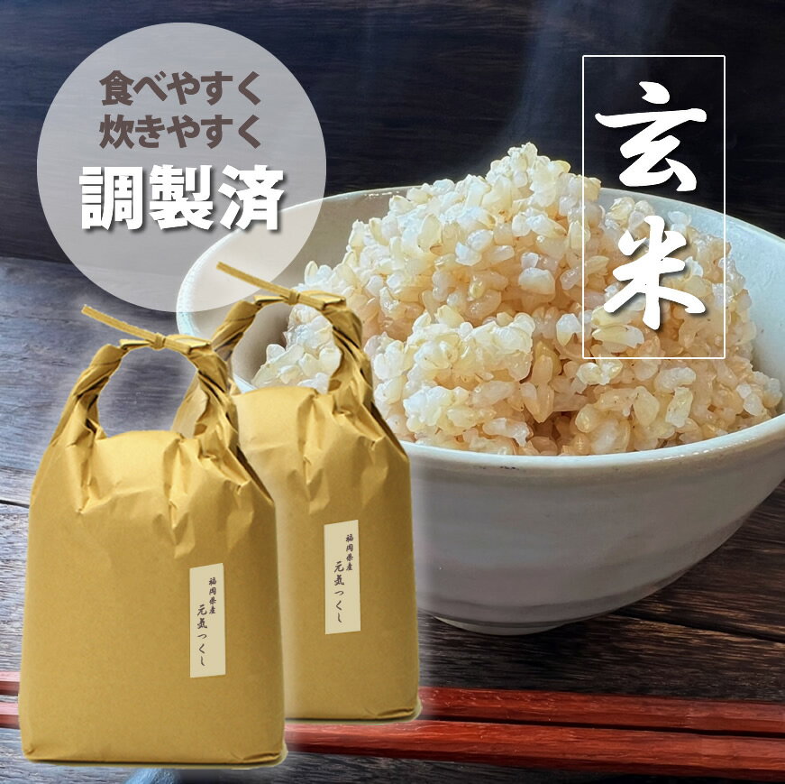 福岡県産[特A]評価のお米「元気つくし」5kg×2袋 (10kg)[玄米]_CW-035