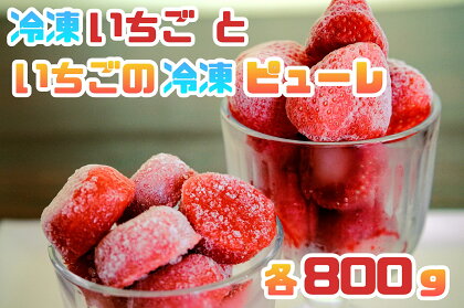 食べ比べ【あまおう】冷凍いちご800g、いちごの冷凍ピューレ800g_CZ-003