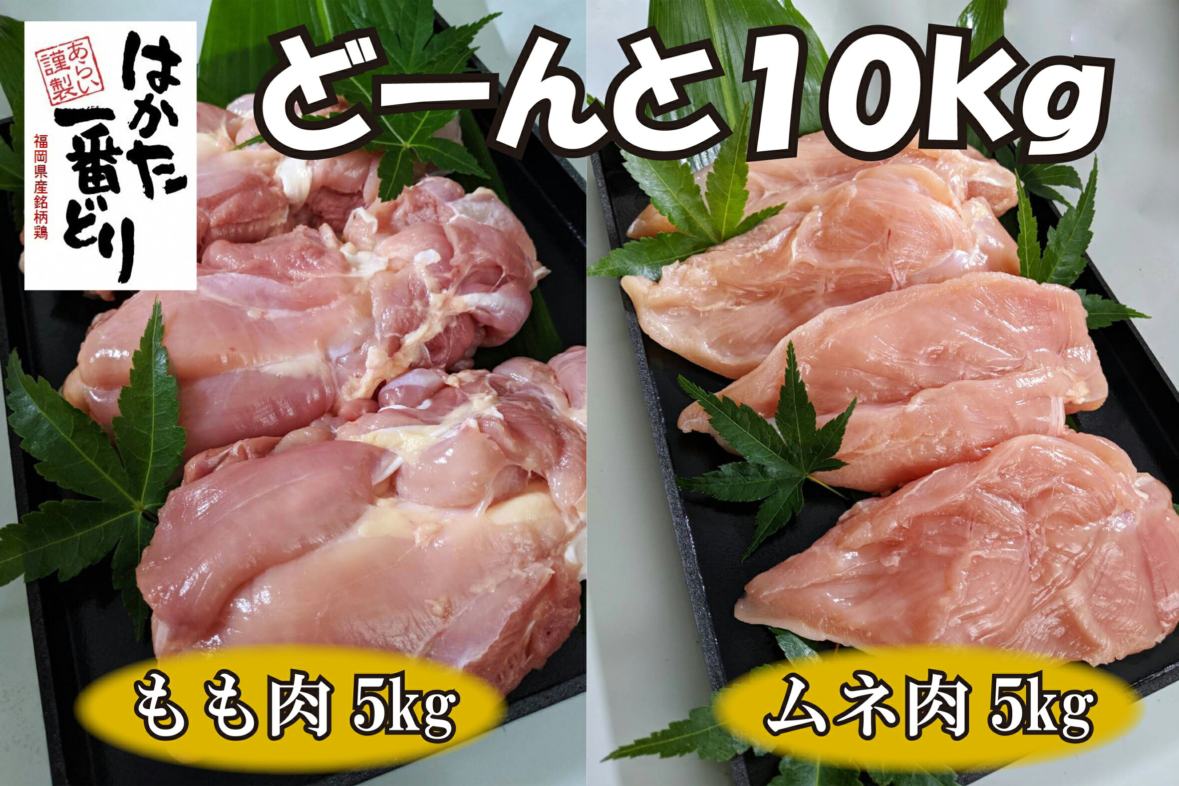 どーんと10kg!福岡名物[はかた一番どり]もも肉とムネ肉_CX-003