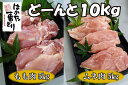 【ふるさと納税】どーんと10kg 福岡名物【はかた一番どり】もも肉とムネ肉_CX-003