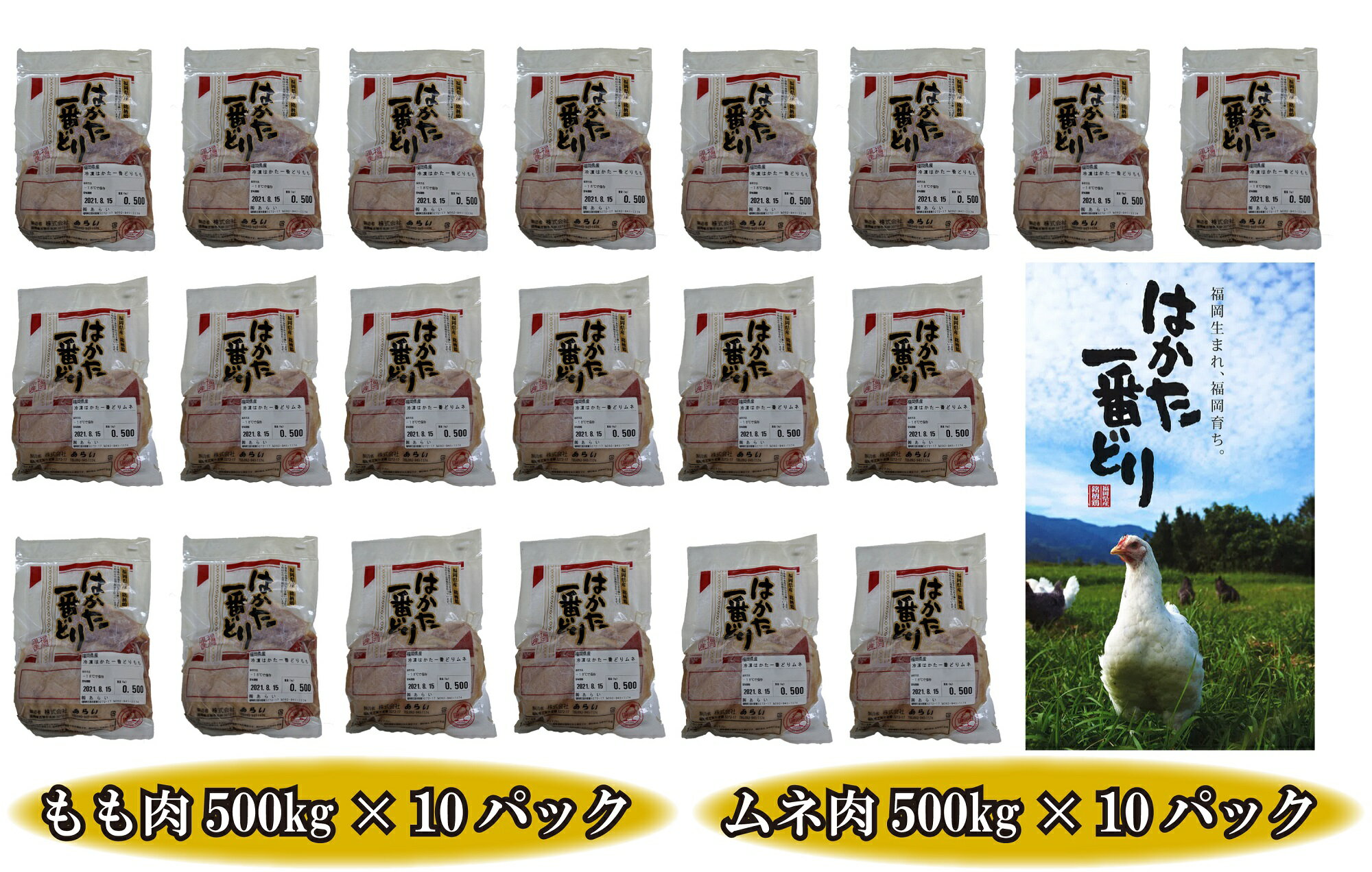 【ふるさと納税】どーんと10kg！福岡名物【はかた一番どり】もも肉とムネ肉_CX-003