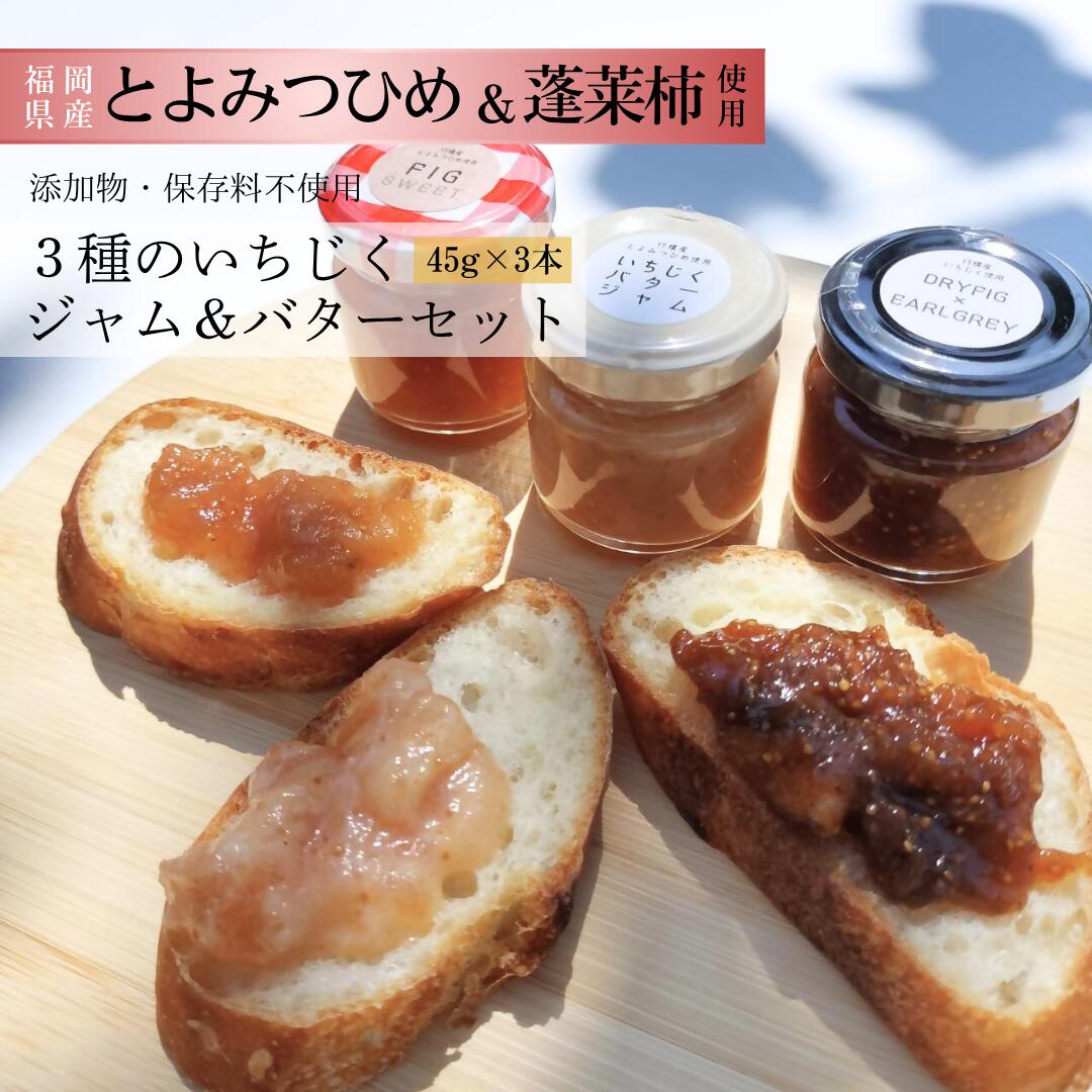 行橋産いちじく 3種のいちじくジャム&バターセット ミニジャム45g×3種_DD-008 おためしに最適