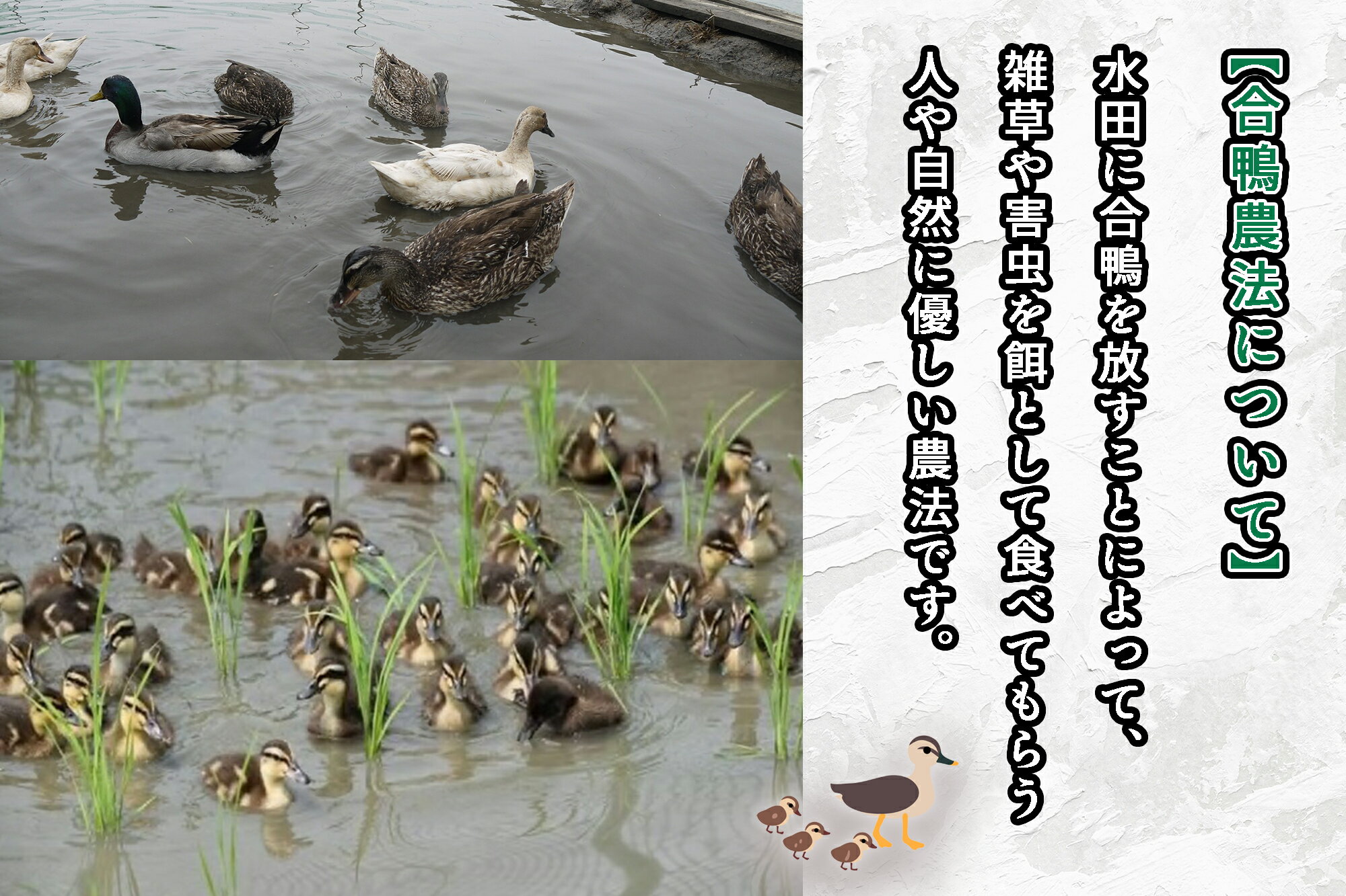 福岡県行橋市の画像2