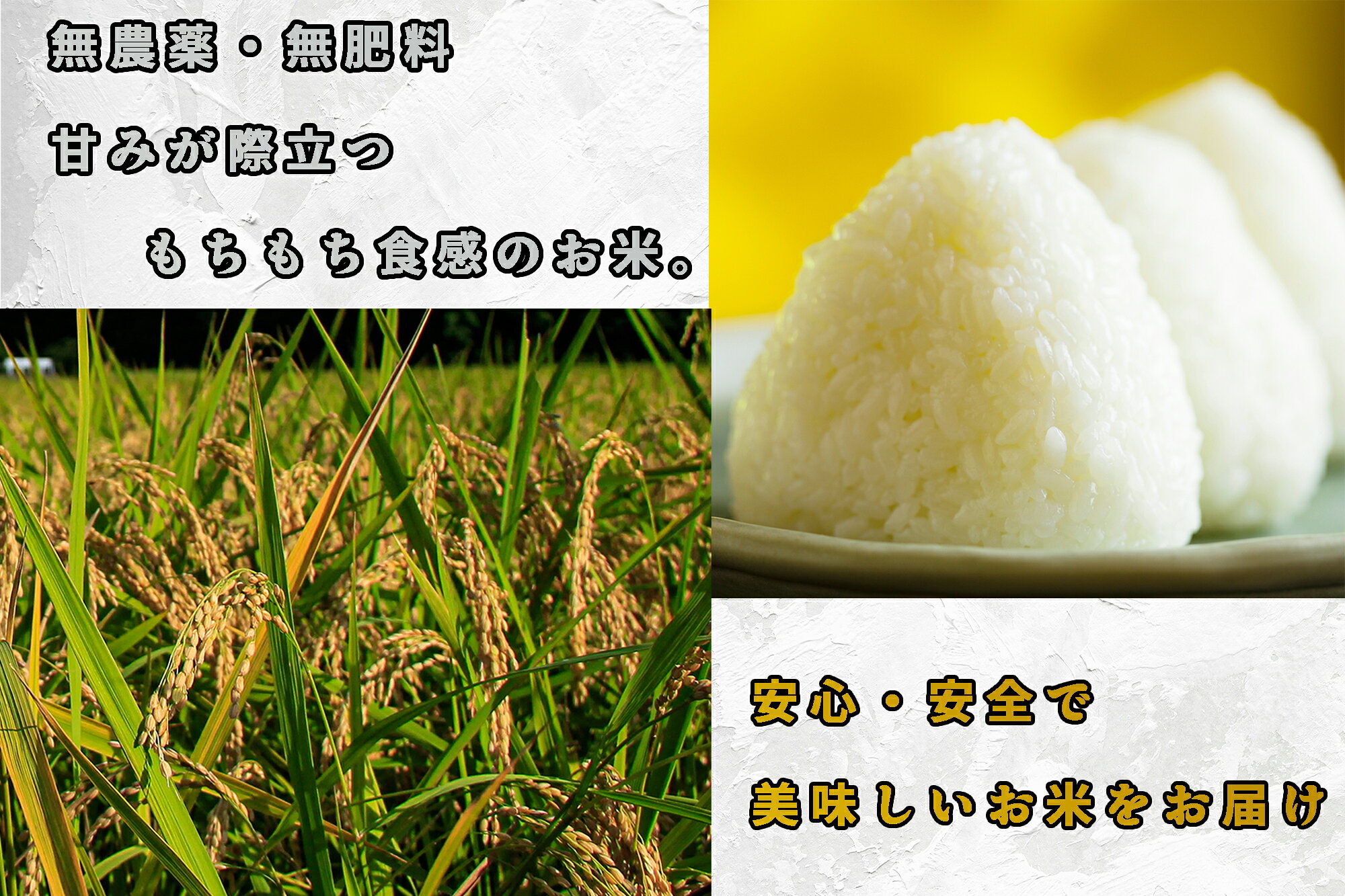 福岡県行橋市の画像3