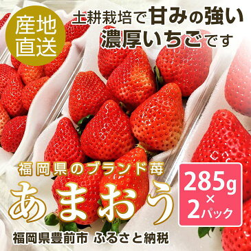 【ふるさと納税】【先行予約】福岡県産あまおう285g×2P。ココロファームのあまおうは、土耕栽培で甘みの強い濃厚いちごです。【北海度・沖縄および離島への配送不可】※2020年1月下旬〜4月中旬頃順次発送予定　■