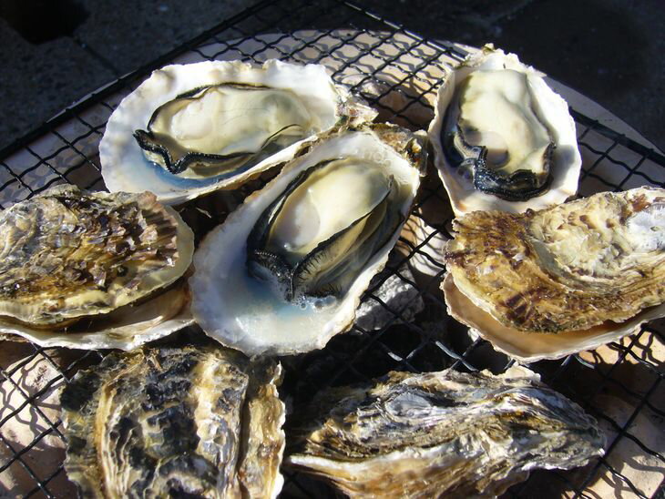 【ふるさと納税】宇島漁港直送！豊築漁協　「豊前海一粒かき」(2kg）牡蠣※2023年1月中旬頃～2月下旬頃に順次発送予定のサムネイル