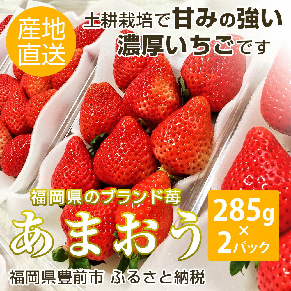 【ふるさと納税】【あまおう】福岡県産いちご285g×2P　　 ココロファームのあまおうは、土耕栽培で甘みの強い濃厚いちごです。【北海度・沖縄および離島へのお届け不可】※2019年2月上旬〜4月上旬に順次発送予定