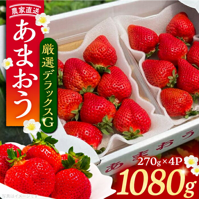 5位! 口コミ数「19件」評価「4.53」【先行予約】【2月-3月発送】農家直送 あまおう 厳選デラックス G 1080g （270g以上 × 4 パック） 土耕栽培 《豊前市》【内･･･ 