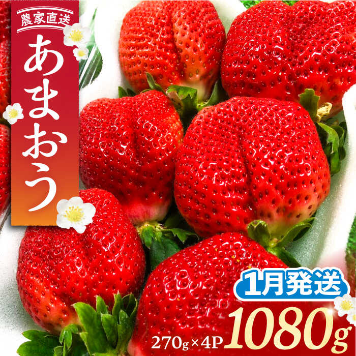 フルーツ・果物(いちご)人気ランク50位　口コミ数「8件」評価「5」「【ふるさと納税】【1月発送】農家直送 あまおう 1080g (270g以上 × 4パック) 土耕栽培《豊前市》【内藤農園】果物 いちご[VAB004]」