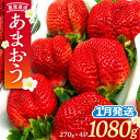 【ふるさと納税】【先行予約】【1月発送】農家直送 あまおう 1080g (270g以上 × 4パック) 土耕栽培《豊前市》【内藤農園】果物 いちご[VAB004...