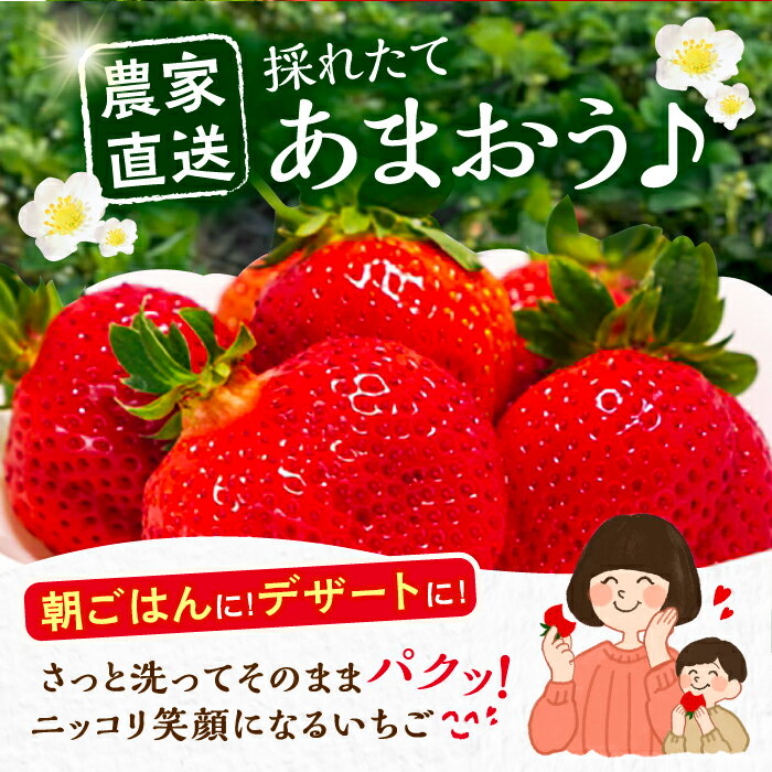 【ふるさと納税】【2月以降発送】農家直送 あまおう 540g （270g以上 × 2 パック） 土耕栽培《豊前市》【内藤農園】果物 いちご [VAB014]