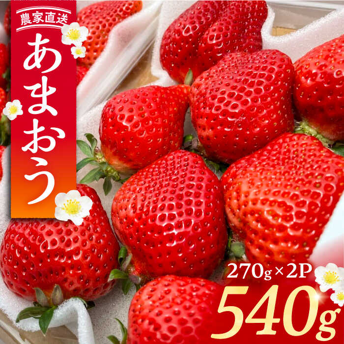 【ふるさと納税】【先行予約】【2月-3月発送】農家直送 あまおう 540g 270g以上 2 パック 土耕栽培《豊前市》【内藤農園】果物 いちご [VAB014]