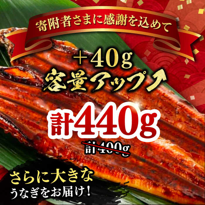 【ふるさと納税】福岡県産 うなぎ 蒲焼 特大 2尾 合計 440 g（1尾あたり 220g以上）《豊前市》【福岡養鰻】 国産 うなぎ 特大 [VAD001]