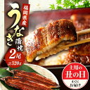 【ふるさと納税】 うなぎ 鰻 肉厚 国産 2尾 160g 豊前市 福岡養鰻 蒲焼 ウナギ お祝い プレゼント 贈答 ギフト 国産うなぎ 国産鰻 人気 おすすめ ...