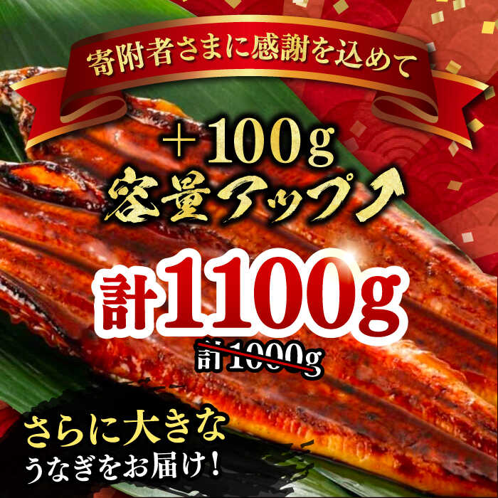 【ふるさと納税】福岡県産 うなぎ 蒲焼 特大 5尾 合計 1,100 g（1尾あたり 220g以上）《豊前市》【福岡養鰻】 国産 うなぎ 特大 [VAD006]